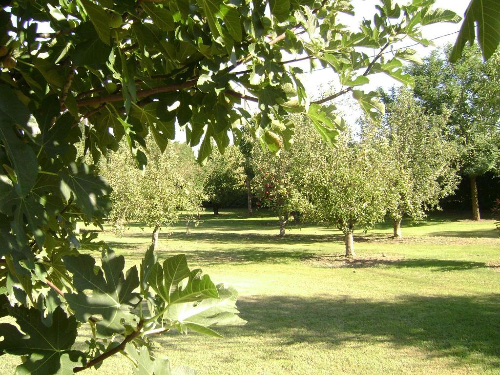 Gite La Gourmandine Saint-Andiol المظهر الخارجي الصورة